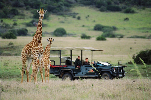 Amakhala Safari Lodge Paterson Экстерьер фото