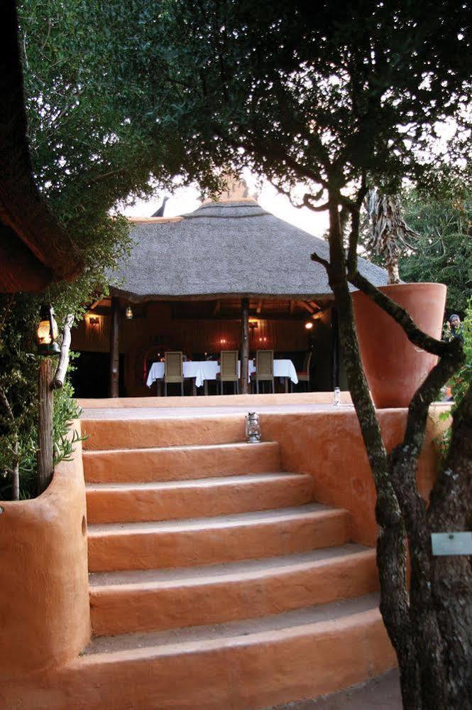 Amakhala Safari Lodge Paterson Экстерьер фото